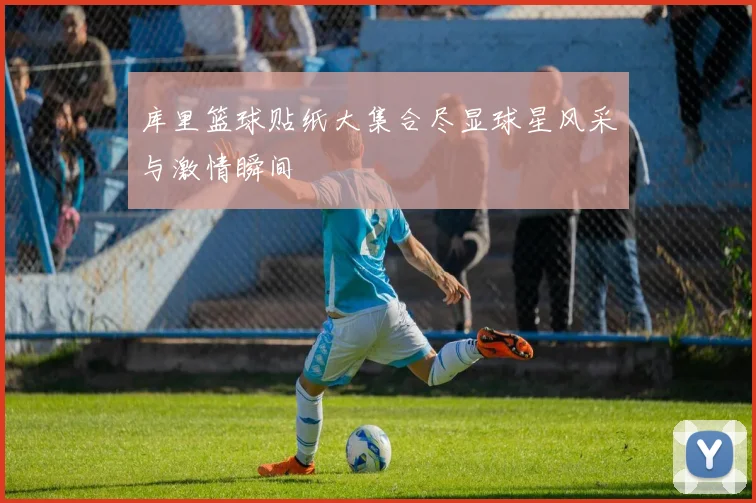 库里篮球贴纸大集合尽显球星风采与激情瞬间