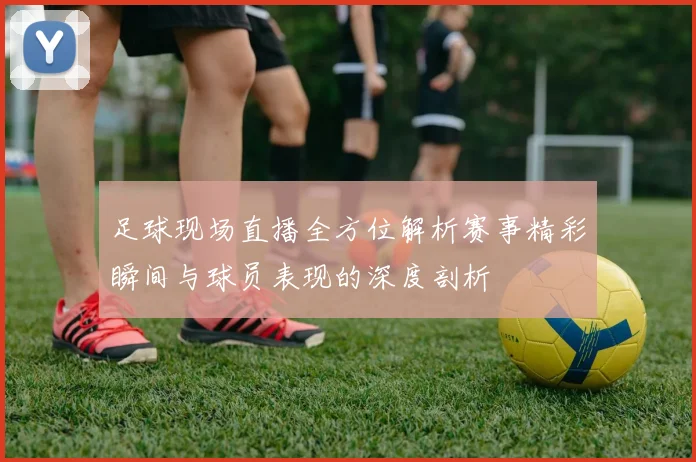 足球现场直播全方位解析赛事精彩瞬间与球员表现的深度剖析